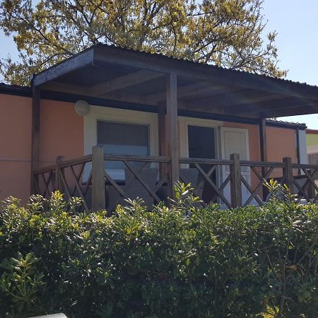 Naturist Mobile Homes Eden In Fkk Ulika Poreč Dış mekan fotoğraf